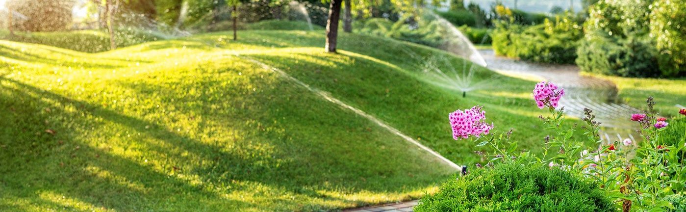 Giải pháp Tưới tự động cho cảnh quan công viên