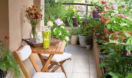Giải pháp tưới ban công chung cư tự động