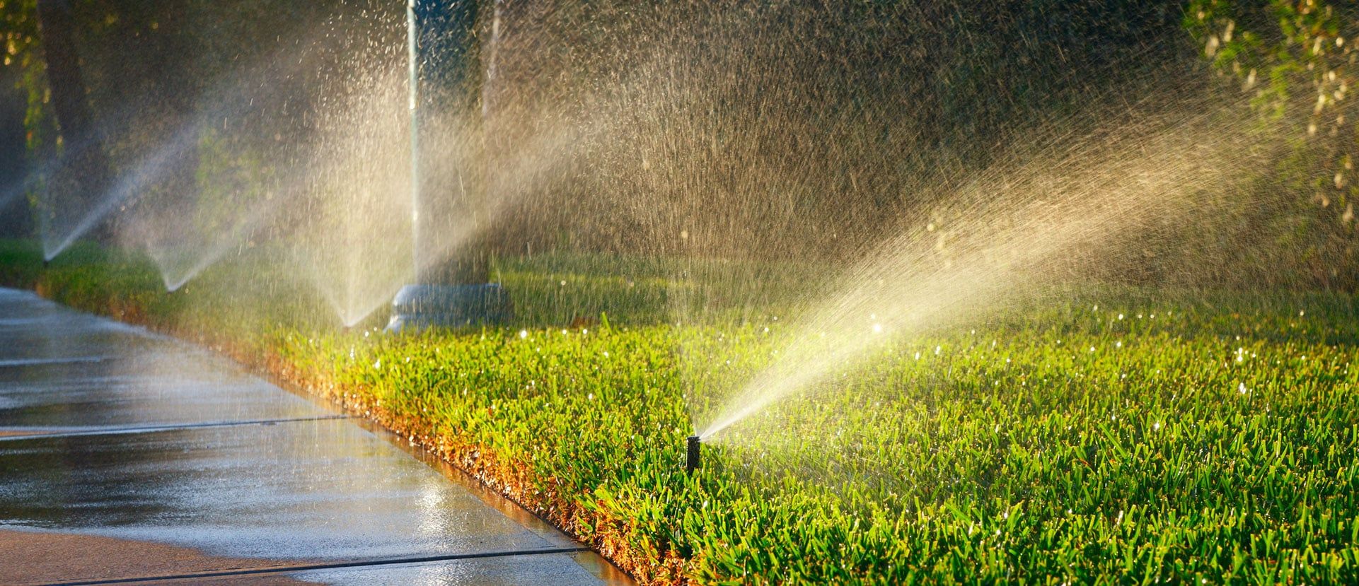 Giải Pháp Tưới Tự Động Cho Cảnh Quan Công Viên Hiện Đại